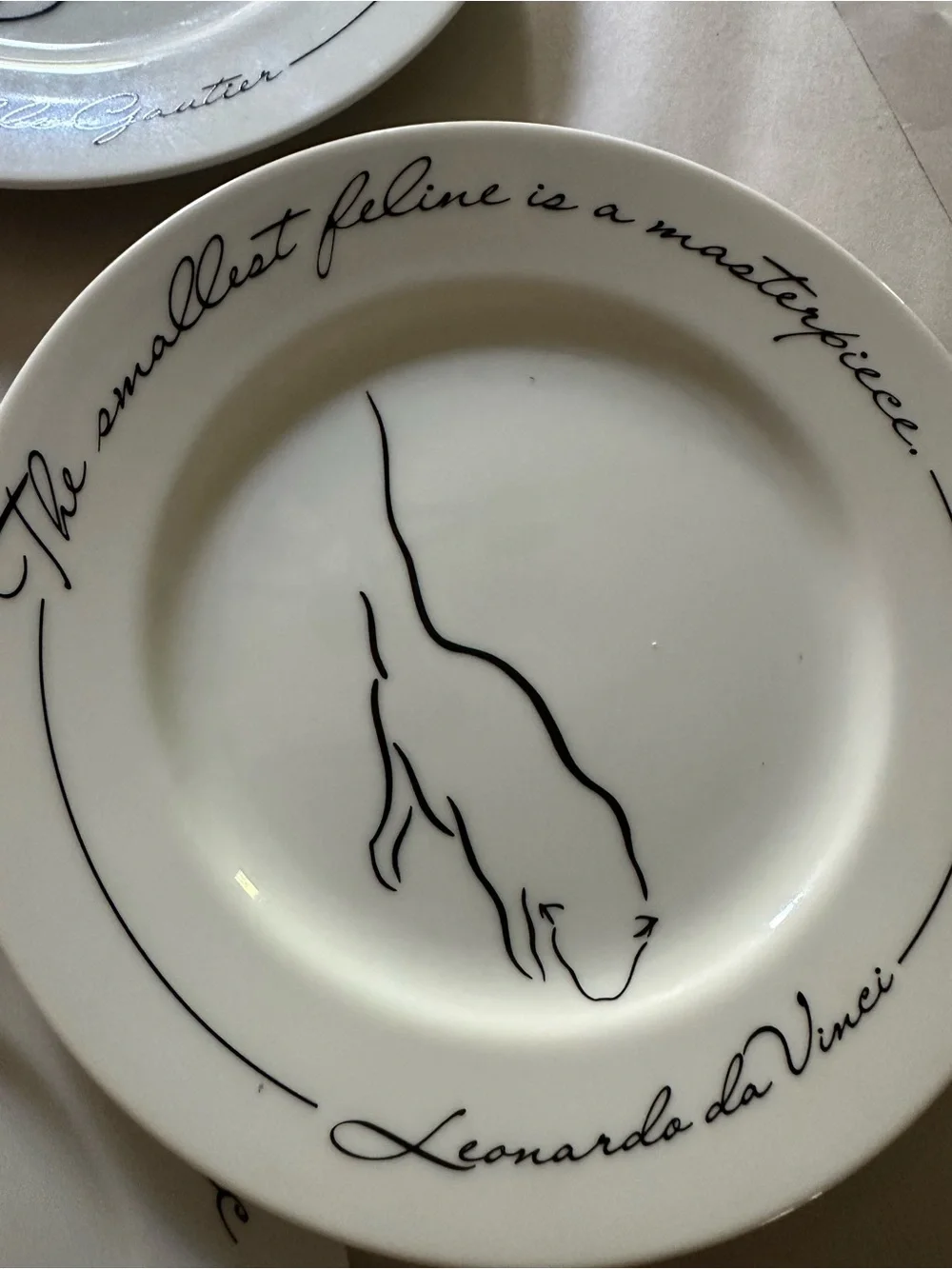 White Ceramic Dessert Plates with Navy Cat Line Drawings - Set of 5